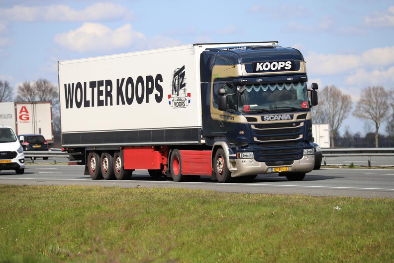 Wolter Koops 57-BJG-2