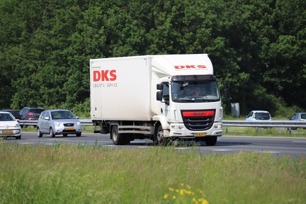 DKS Logistic Service 95-BLH-7