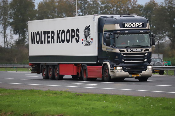 Wolter Koops 21-BJG-1